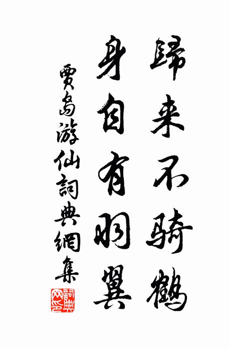 贾岛归来不骑鹤，身自有羽翼书法作品欣赏