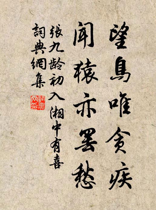 张九龄望鸟唯贪疾，闻猿亦罢愁书法作品欣赏