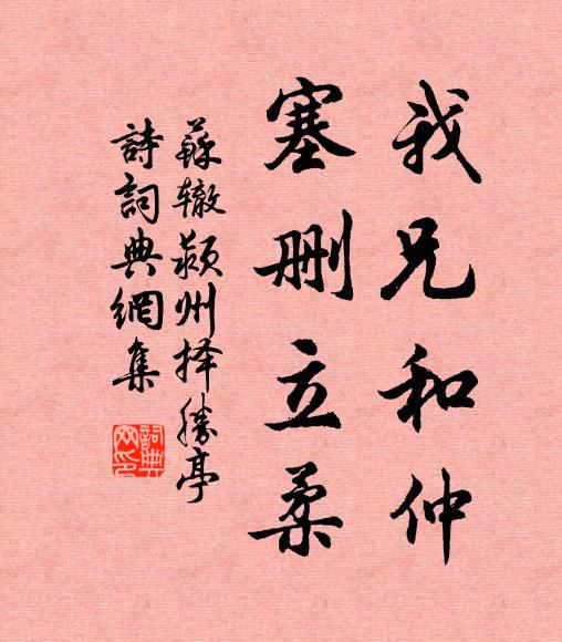 苏辙我兄和仲,塞删立柔书法作品欣赏