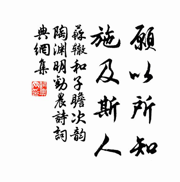 苏辙愿以所知，施及斯人书法作品欣赏