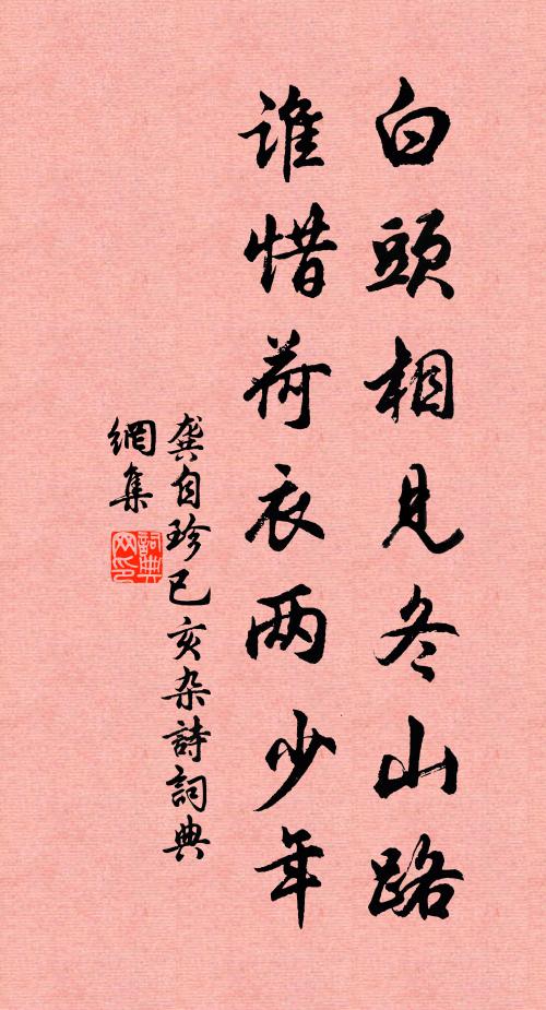 龚自珍白头相见冬山路，谁惜荷衣两少年书法作品欣赏