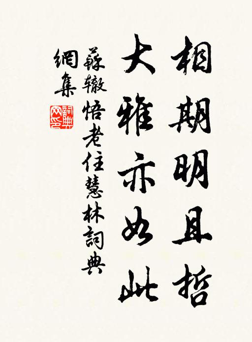 苏辙相期明且哲，大雅亦如此书法作品欣赏