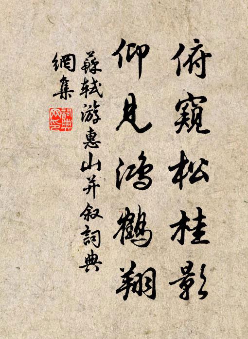 苏轼俯窥松桂影，仰见鸿鹤翔书法作品欣赏