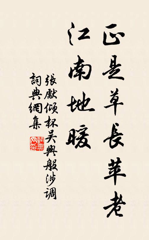 张先正是草长苹老，江南地暖书法作品欣赏