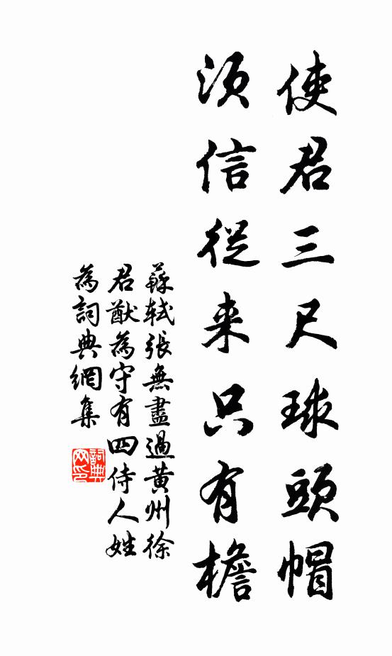 苏轼使君三尺球头帽，须信从来只有檐书法作品欣赏