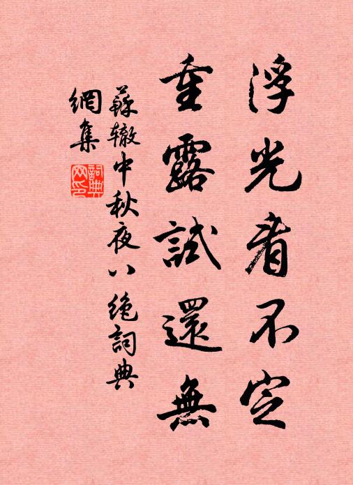 苏辙浮光看不定，重露试还无书法作品欣赏