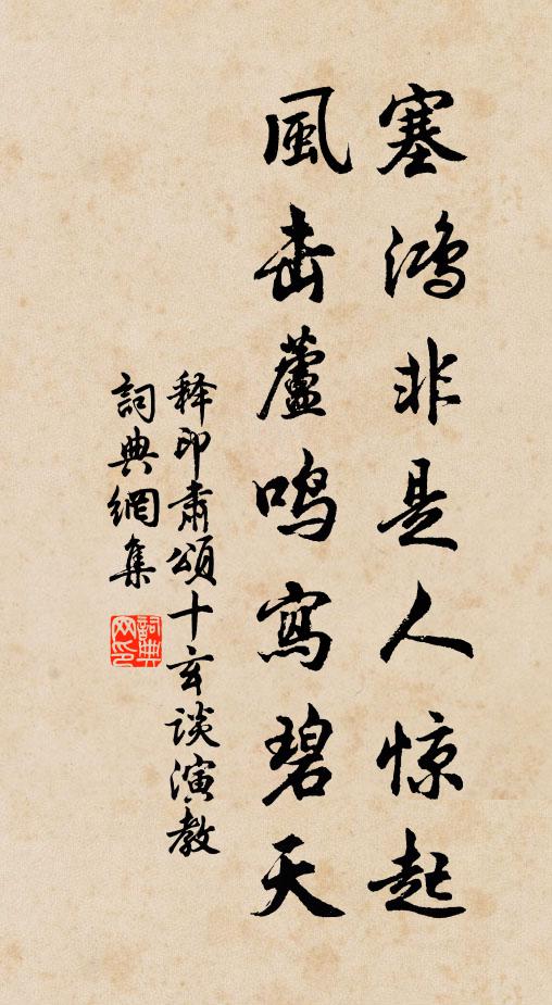 释印肃塞鸿非是人惊起，风击芦鸣写碧天书法作品欣赏