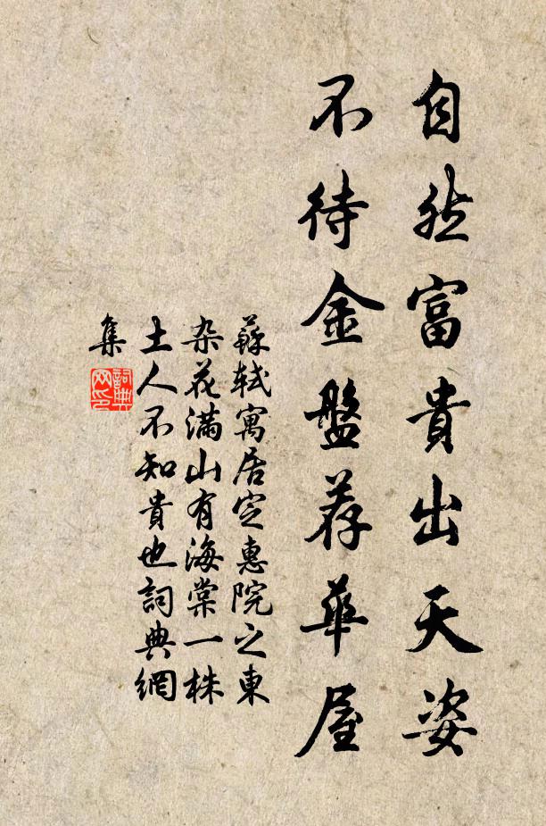 苏轼自然富贵出天姿，不待金盘荐华屋书法作品欣赏