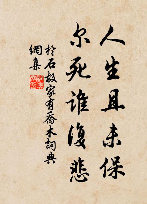 于石人生且未保，尔死谁复悲书法作品欣赏