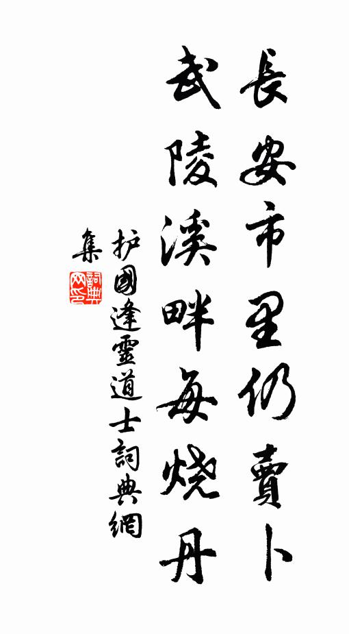 护国长安市里仍卖卜，武陵溪畔每烧丹书法作品欣赏