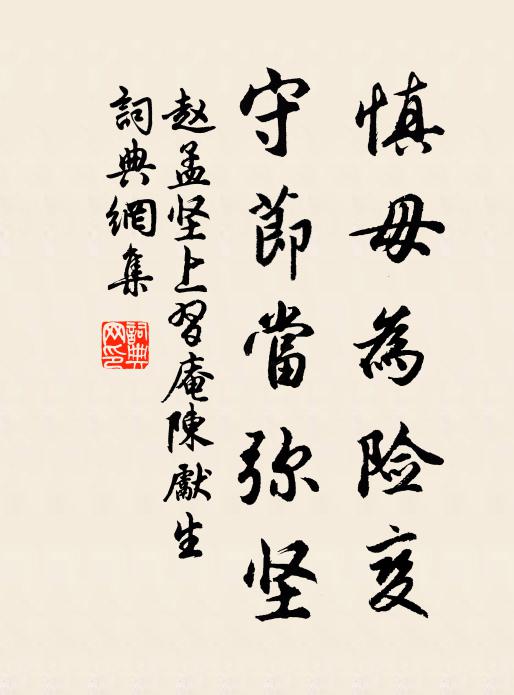 赵孟坚慎毋为险变,守节当弥坚书法作品欣赏