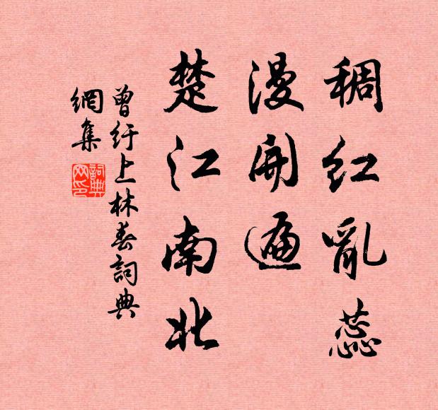 曾纡稠红乱蕊，漫开遍、楚江南北书法作品欣赏