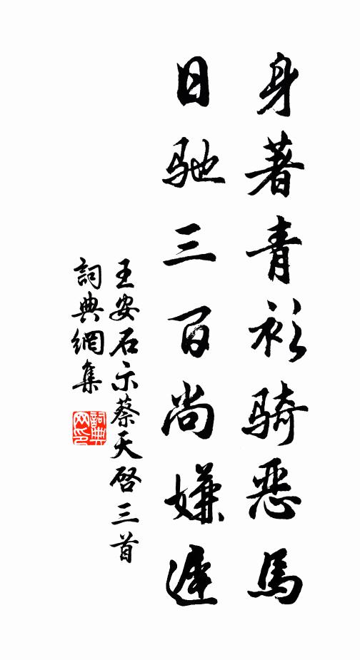 王安石身著青衫骑恶马，日驰三百尚嫌迟书法作品欣赏
