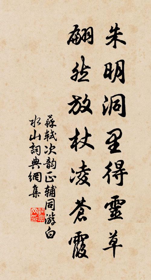 苏轼朱明洞里得灵草，翩然放杖凌苍霞书法作品欣赏