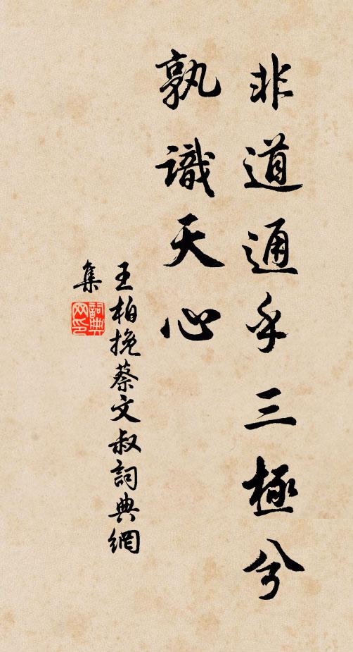 王柏非道通乎三极兮，孰识天心书法作品欣赏