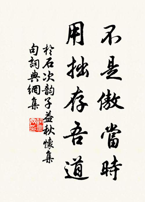 于石不是傲当时，用拙存吾道书法作品欣赏