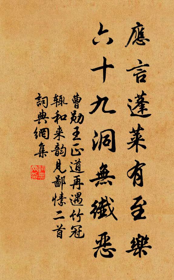 曹勋应言蓬莱有至乐，六十九洞无纤恶书法作品欣赏