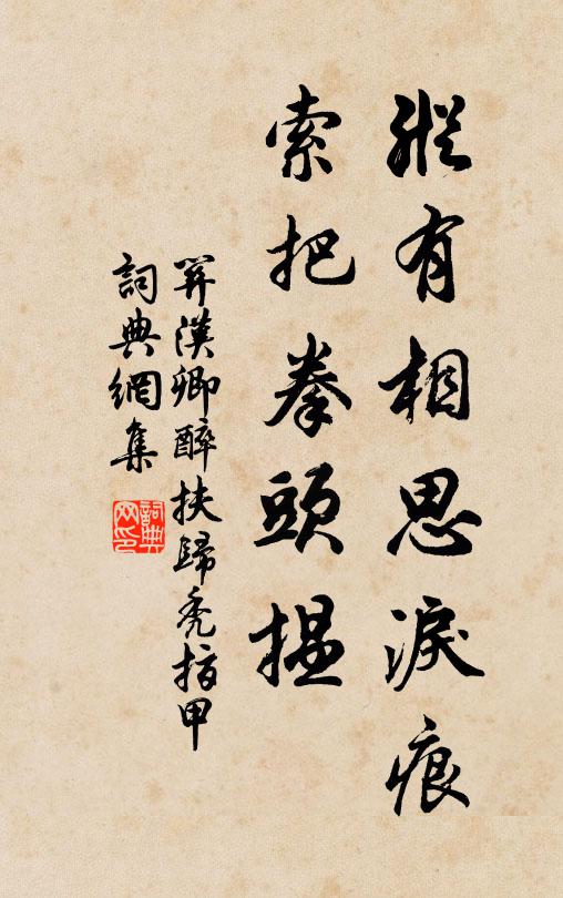 关汉卿纵有相思泪痕，索把拳头揾书法作品欣赏