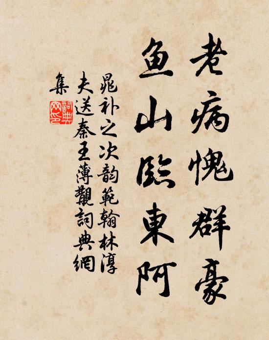 晁补之老病愧群豪，鱼山临东阿书法作品欣赏