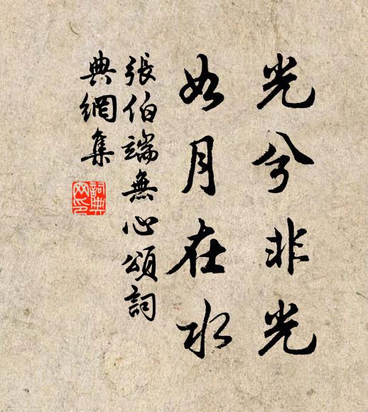 张伯端光兮非光,如月在水书法作品欣赏