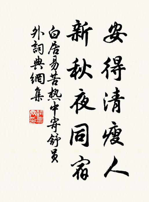 白居易安得清瘦人，新秋夜同宿书法作品欣赏