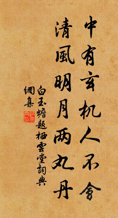 白玉蟾中有玄机人不会，清风明月两丸丹书法作品欣赏