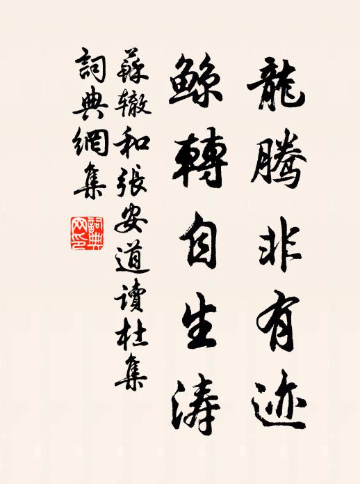 苏辙龙腾非有迹，鲸转自生涛书法作品欣赏