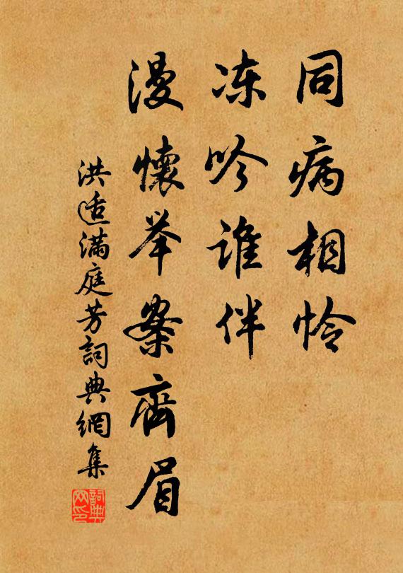 洪适同病相怜，冻吟谁伴，漫怀举案齐眉书法作品欣赏