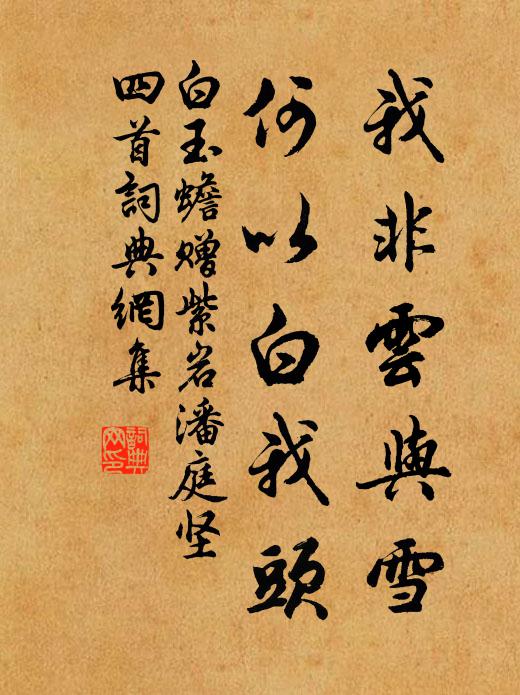 白玉蟾我非云与雪，何以白我头书法作品欣赏