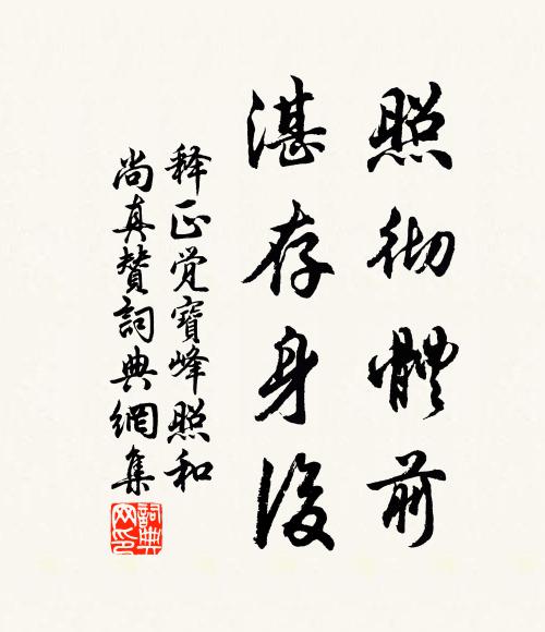 释正觉照彻体前，湛存身后书法作品欣赏