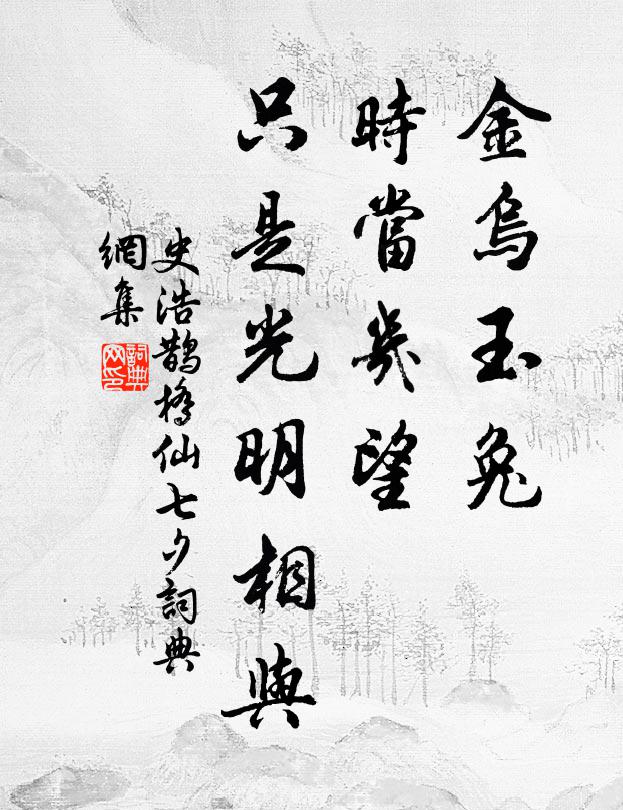 史浩金乌玉兔，时当几望，只是光明相与书法作品欣赏