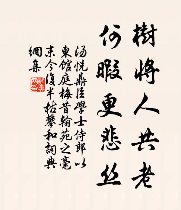 汤悦树将人共老，何暇更悲丝书法作品欣赏