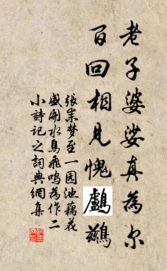 张耒老子婆娑真为尔，百回相见愧鸬鹚书法作品欣赏