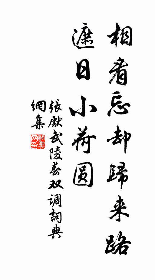 张先相看忘却归来路，遮日小荷圆书法作品欣赏
