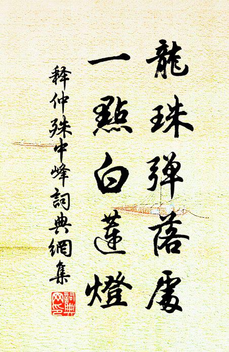 释仲殊龙珠弹落处，一点白莲灯书法作品欣赏