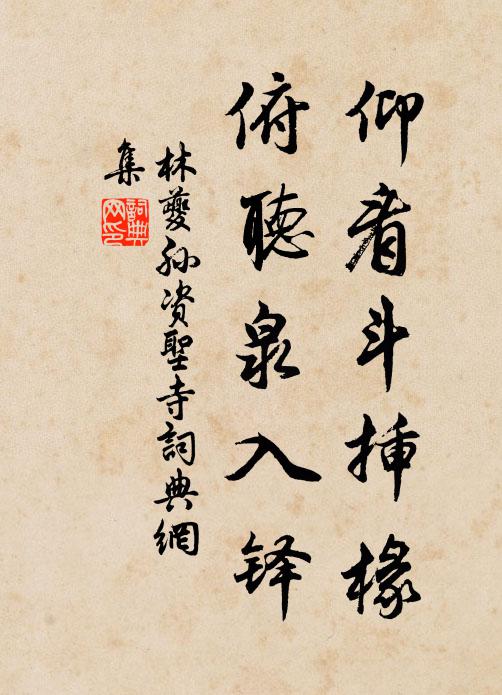 林夔孙仰看斗插椽，俯听泉入铎书法作品欣赏