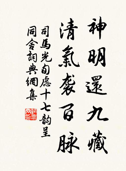 司马光神明还九藏，清气袭百脉书法作品欣赏