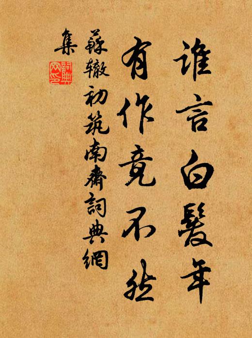 苏辙谁言白发年，有作竟不然书法作品欣赏