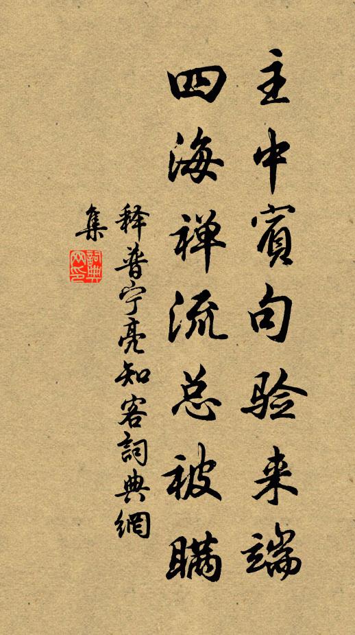 释普宁主中宾句验来端，四海禅流总被瞒书法作品欣赏