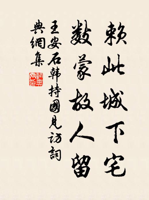 王安石赖此城下宅，数蒙故人留书法作品欣赏