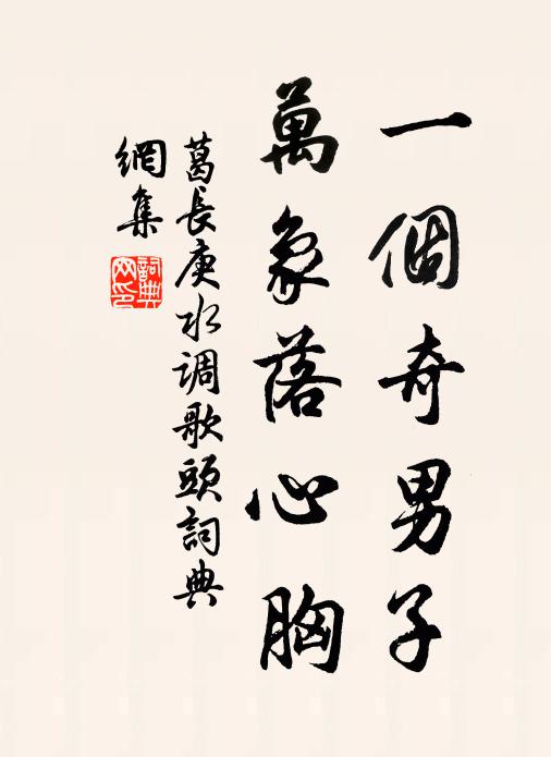 葛长庚一个奇男子，万象落心胸书法作品欣赏