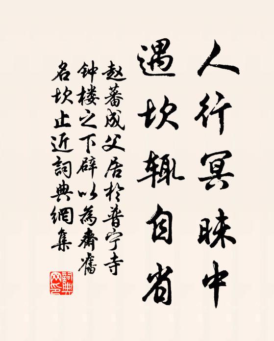 赵蕃人行冥昧中，遇坎辄自省书法作品欣赏