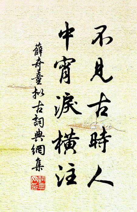 薛奇童不见古时人，中宵泪横注书法作品欣赏