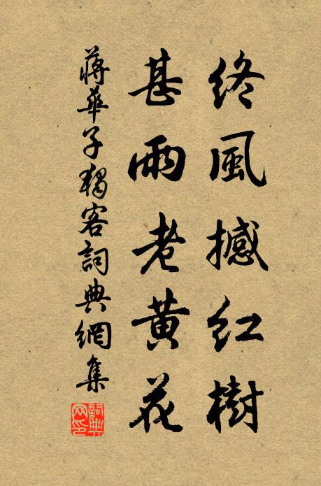 蒋华子终风撼红树，甚雨老黄花书法作品欣赏