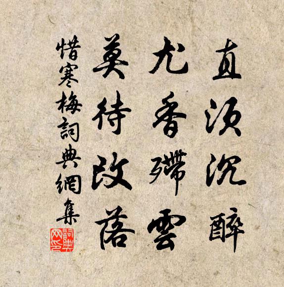 佚名直须沉醉，尤香殢云，莫待改落书法作品欣赏
