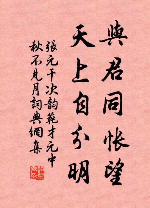 张元干与君同怅望，天上自分明书法作品欣赏