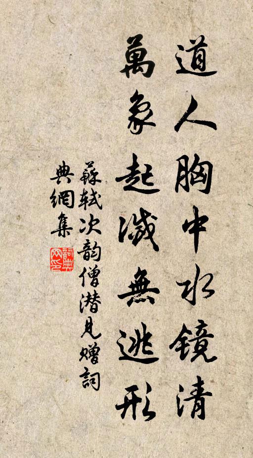苏轼道人胸中水镜清，万象起灭无逃形书法作品欣赏