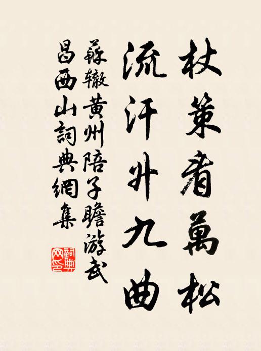 苏辙杖策看万松，流汗升九曲书法作品欣赏