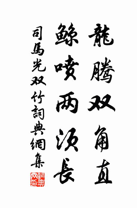 司马光龙腾双角直，鲸喷两须长书法作品欣赏