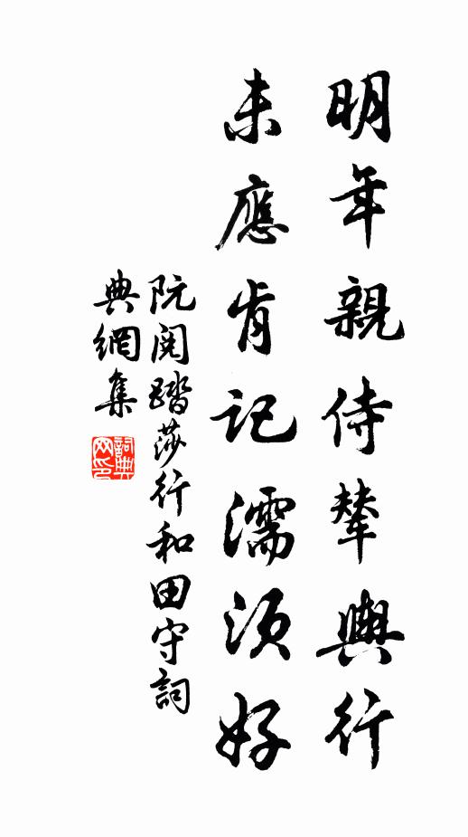 阮阅明年亲侍辇舆行，未应肯记濡须好书法作品欣赏